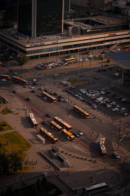Transport publiczny